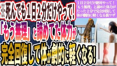 【死んでも１日２分やれ】「「もう無理」と諦めていた体力がたった2分で完全回復して体が劇的に軽くなる」を世界一わかりやすく要約してみた【本要約】【本要約チャンネル※毎日19時更新】